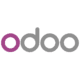 odoo widget